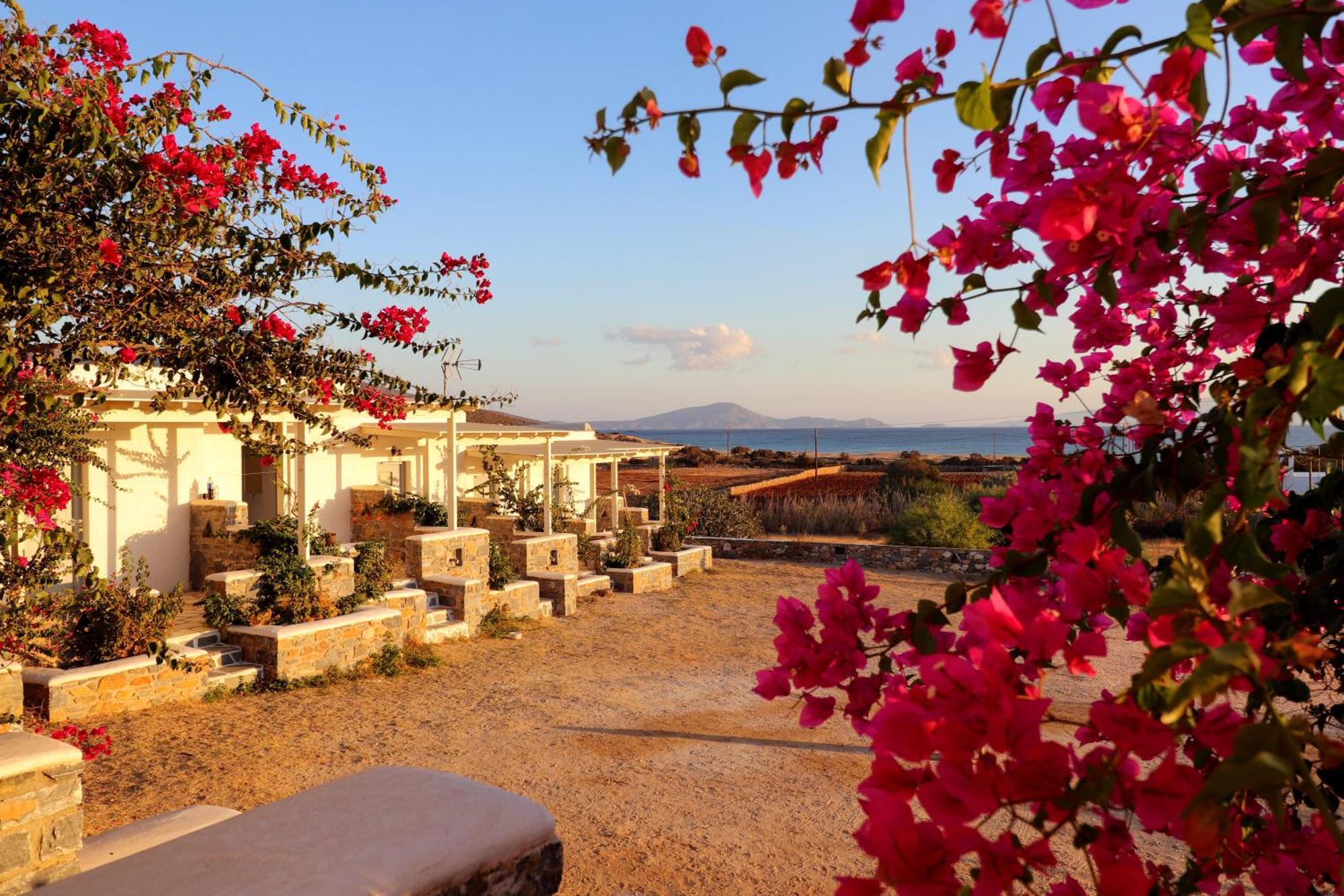 Sunny Studios Naxos Aliko Beach Dış mekan fotoğraf