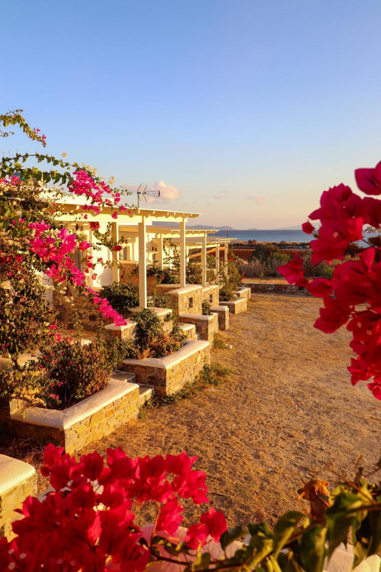 Sunny Studios Naxos Aliko Beach Dış mekan fotoğraf